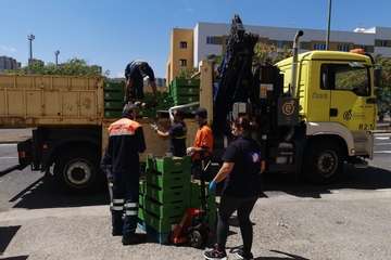 Reparto de cinco palés de melones (Foto TA)